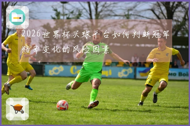 2026世界杯买球平台如何判断冠军赔率变化的风险因素