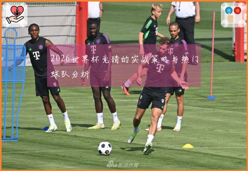 2026世界杯竞猜的实战策略与热门球队分析