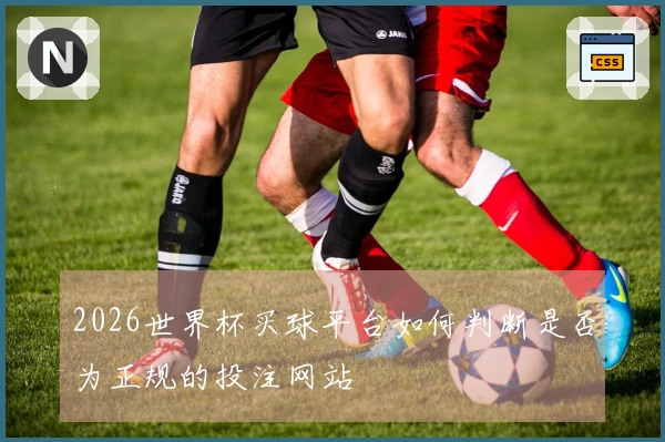2026世界杯买球平台如何判断是否为正规的投注网站