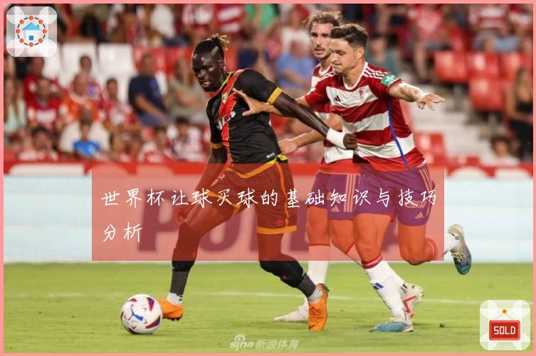 世界杯让球买球的基础知识与技巧分析