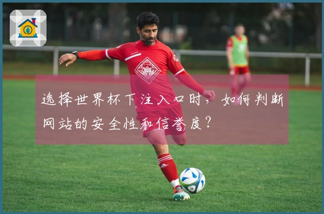选择世界杯下注入口时，如何判断网站的安全性和信誉度？