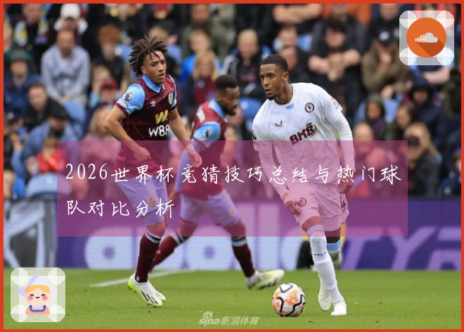 2026世界杯竞猜技巧总结与热门球队对比分析