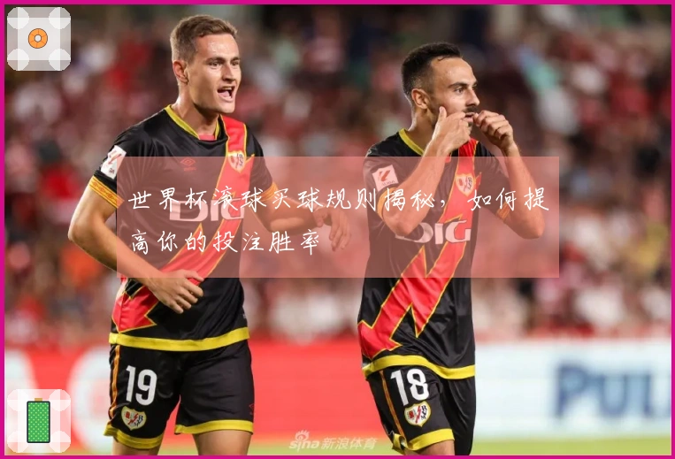 世界杯滚球买球规则揭秘，如何提高你的投注胜率