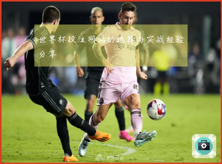 世界杯投注网站的选择与实战经验分享