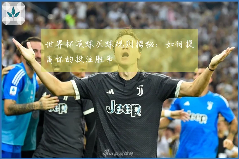 世界杯滚球买球规则揭秘，如何提高你的投注胜率