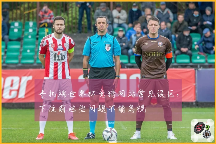 手机端世界杯竞猜网站常见误区，下注前这些问题不能忽视