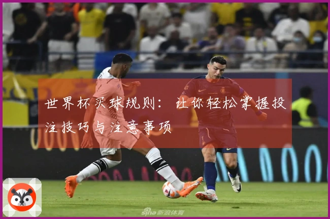 世界杯买球规则：让你轻松掌握投注技巧与注意事项