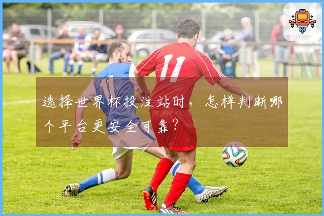 选择世界杯投注站时，怎样判断哪个平台更安全可靠？
