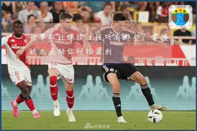 世界杯让球投注技巧有哪些？掌握这几点助你轻松盈利