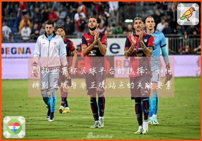 2026世界杯买球平台的选择:如何辨别正规与非正规站点的关键要素