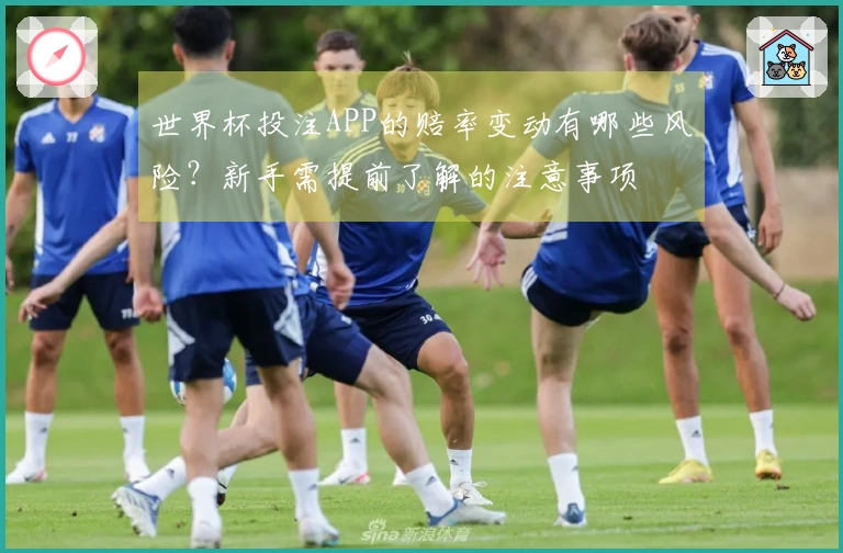 世界杯投注APP的赔率变动有哪些风险？新手需提前了解的注意事项