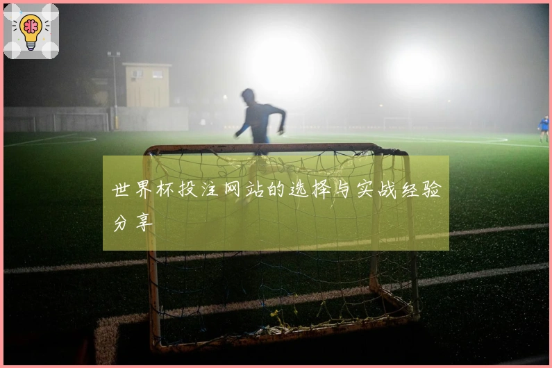 世界杯投注网站的选择与实战经验分享