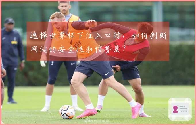 选择世界杯下注入口时，如何判断网站的安全性和信誉度？