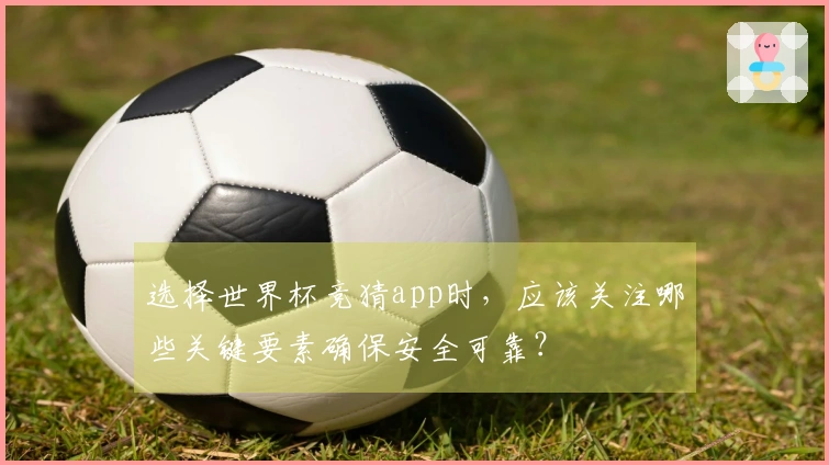 选择世界杯竞猜app时，应该关注哪些关键要素确保安全可靠？