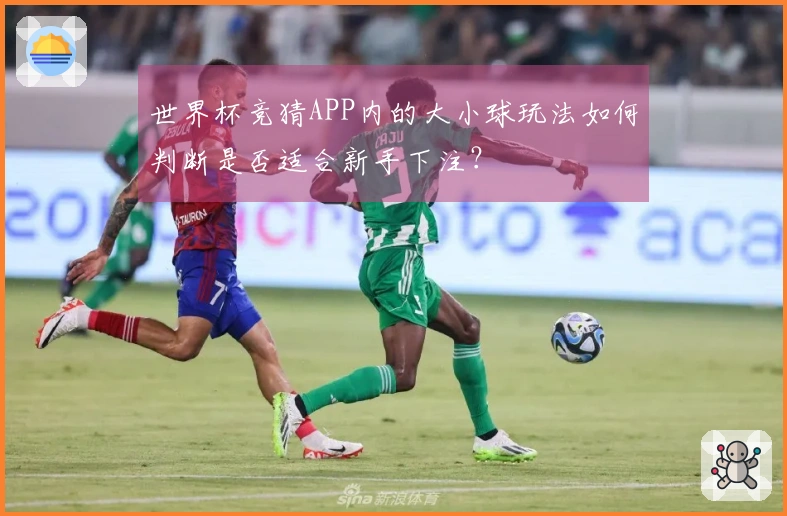 世界杯竞猜APP内的大小球玩法如何判断是否适合新手下注？