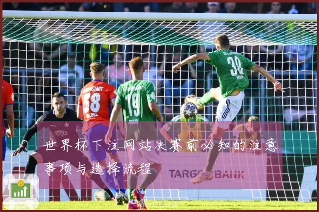 世界杯下注网站决赛前必知的注意事项与选择流程