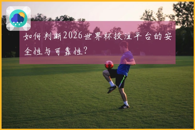 如何判断2026世界杯投注平台的安全性与可靠性？