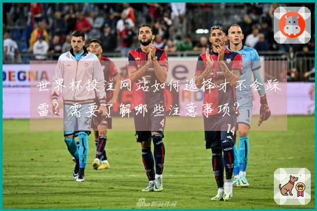 世界杯投注网站如何选择才不会踩雷？需要了解哪些注意事项？