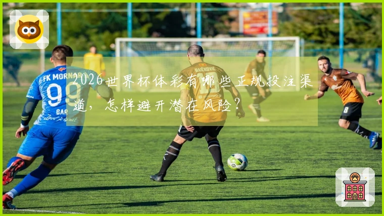 2026世界杯体彩有哪些正规投注渠道，怎样避开潜在风险？