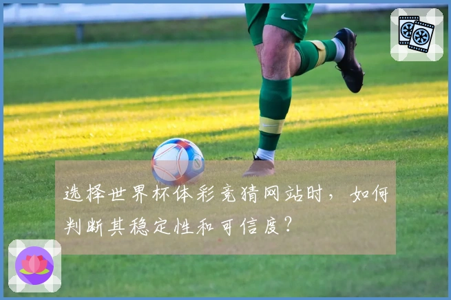 选择世界杯体彩竞猜网站时，如何判断其稳定性和可信度？