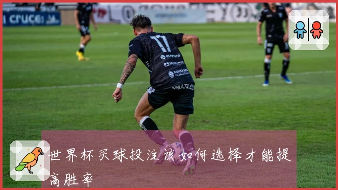 世界杯买球投注该如何选择才能提高胜率
