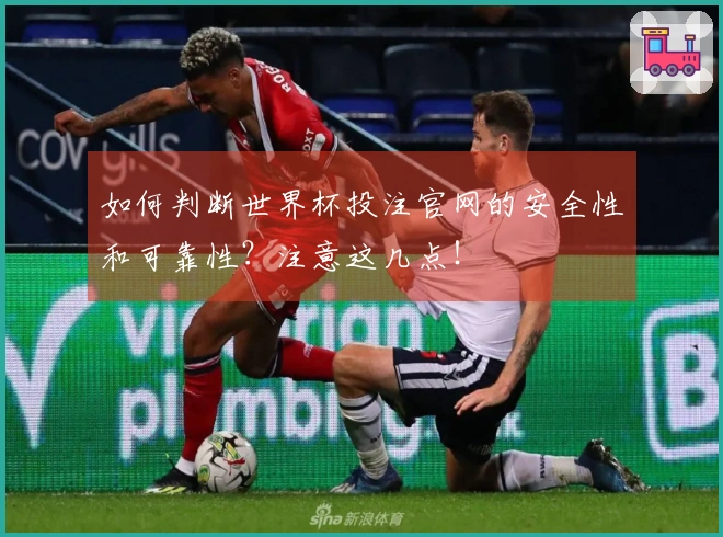 如何判断世界杯投注官网的安全性和可靠性？注意这几点！