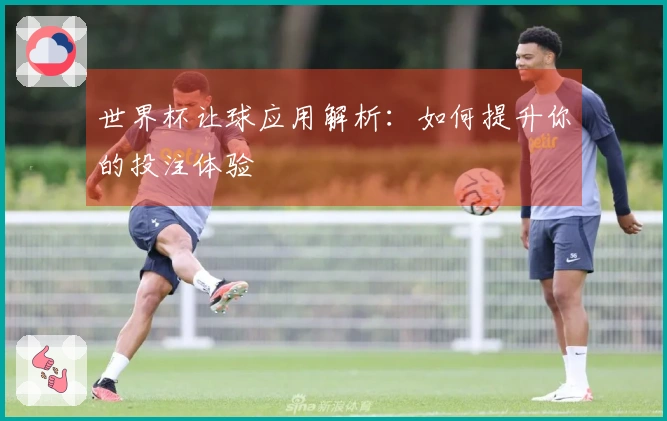 世界杯让球应用解析：如何提升你的投注体验