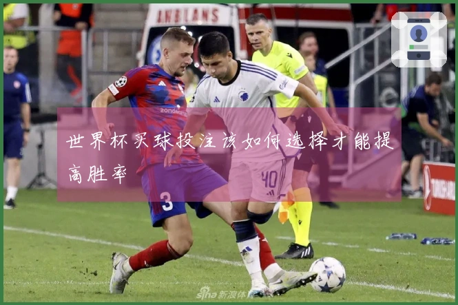 世界杯买球投注该如何选择才能提高胜率