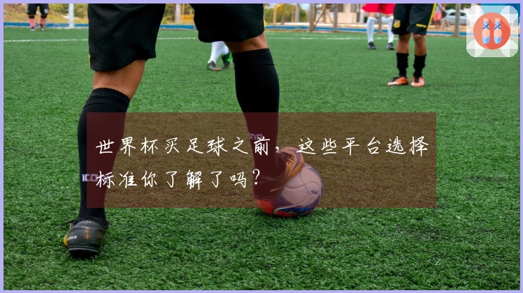 世界杯买足球之前，这些平台选择标准你了解了吗？