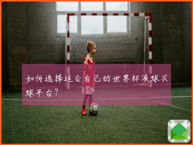 如何选择适合自己的世界杯滚球买球平台？