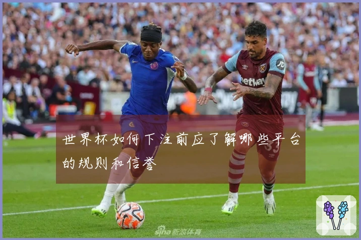 世界杯如何下注前应了解哪些平台的规则和信誉
