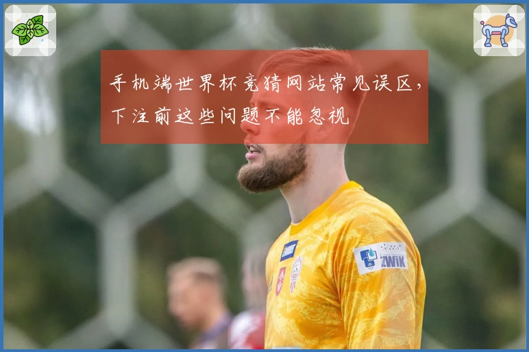 手机端世界杯竞猜网站常见误区，下注前这些问题不能忽视