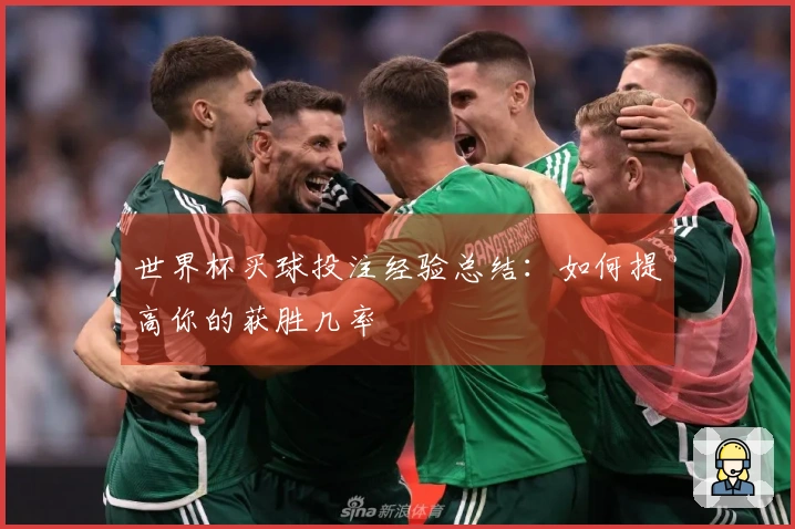 世界杯买球投注经验总结：如何提高你的获胜几率