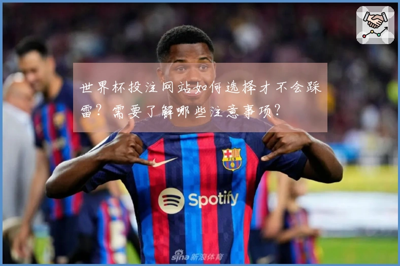 世界杯投注网站如何选择才不会踩雷?需要了解哪些注意事项?